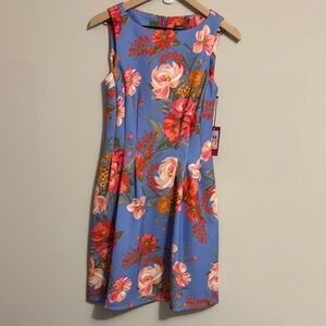 Vince Camuto Blue and Pink Sleeveless A-Line Mini Dress